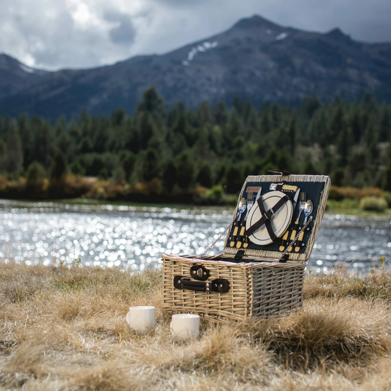 Catalina Picnic Basket, Dahlia - Image 3