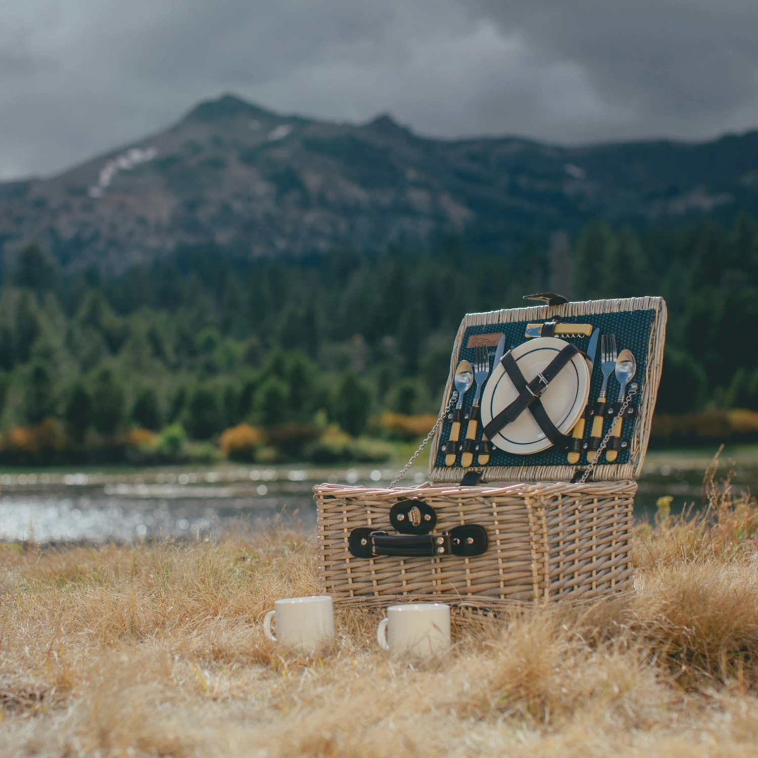Catalina Picnic Basket, Dahlia - Image 4