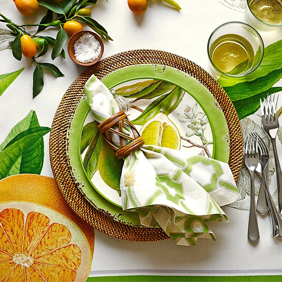 Rustic® Outdoor Melamine Dinner Plates - Image 14